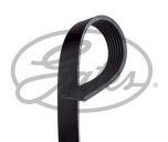 CINGHIA POLY-V