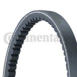 CINGHIA ALTERNATORE SEAT/VOLKSWAGEN