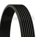 CINGHIA POLY-V RE ESPACE IV 1.9 DC