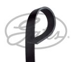 CINGHIA POLY-V
