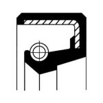 PARAOLIO BAD 20X40X7 NBR