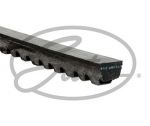 CINGHIA AV 10X638