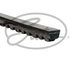 CINGHIA ALTERNATORE AV13X1175