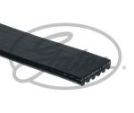 CINGH.MICRO-V