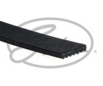CINGHIA POLY-V