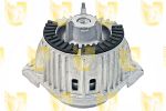 SUPPORTO MOTORE SX                      MERCEDES C W204 2007>