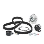 KIT DISTRIBUZ.+ POMPA ACQUA OP INSIGNA