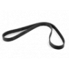 CINGHIA POLY-V