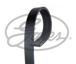 CINGHIA POLY-V HYUNDAI/JEEP