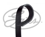CINGHIA POLY-V