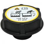 TAPPO VASCHETTA ACQUA FORD FIESTA 08>