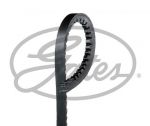 CINGHIA ALTERNATORE IVEXO 13X888