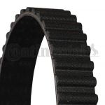 CINGHIA DISTRIBUZ.BE MIDI 2.0 D