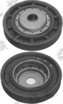 PULEGGIA SMORZ.NISSAN/RENAULT